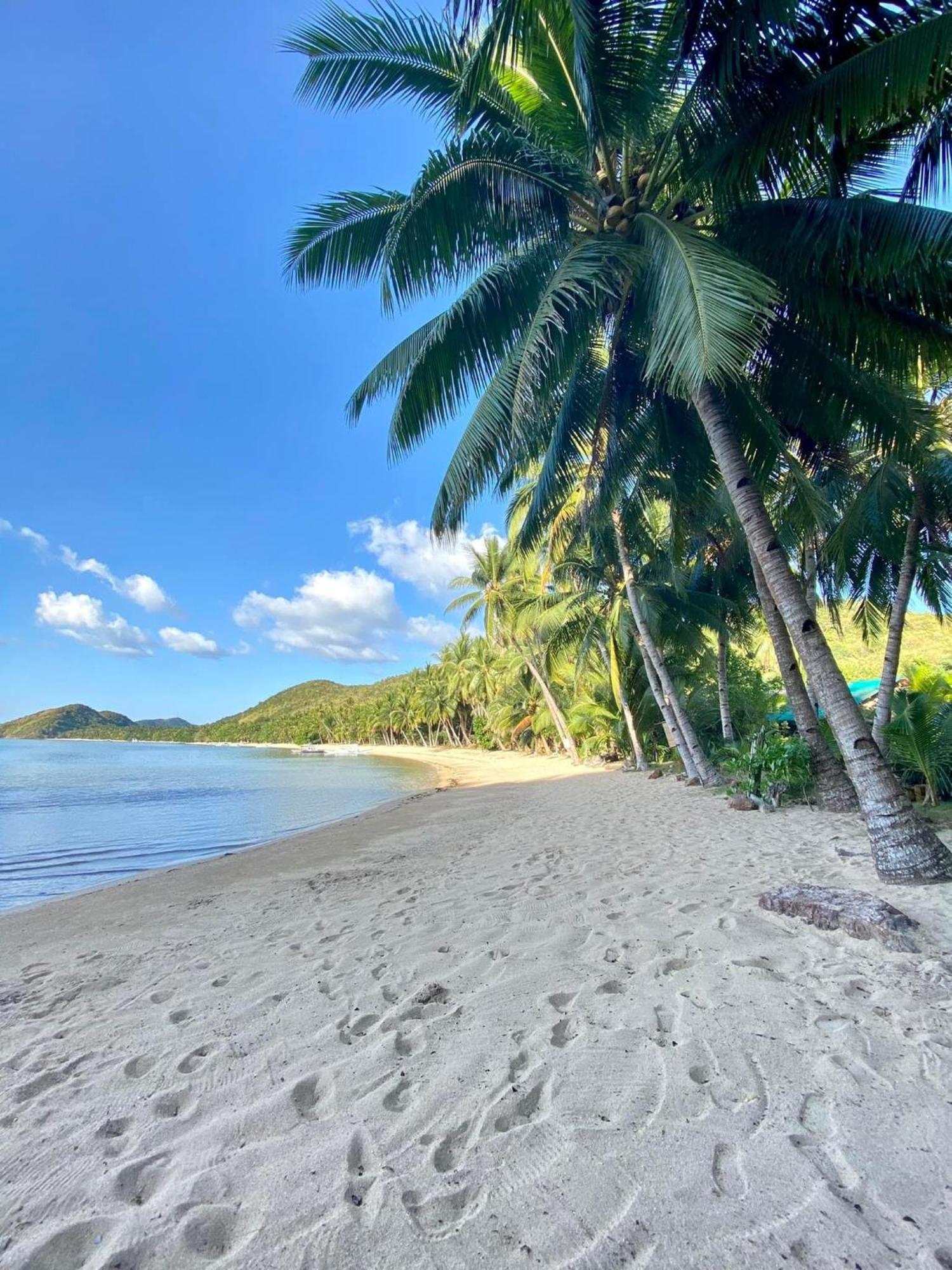 Ocamocam Beach Nature Resort New Busuanga Extérieur photo