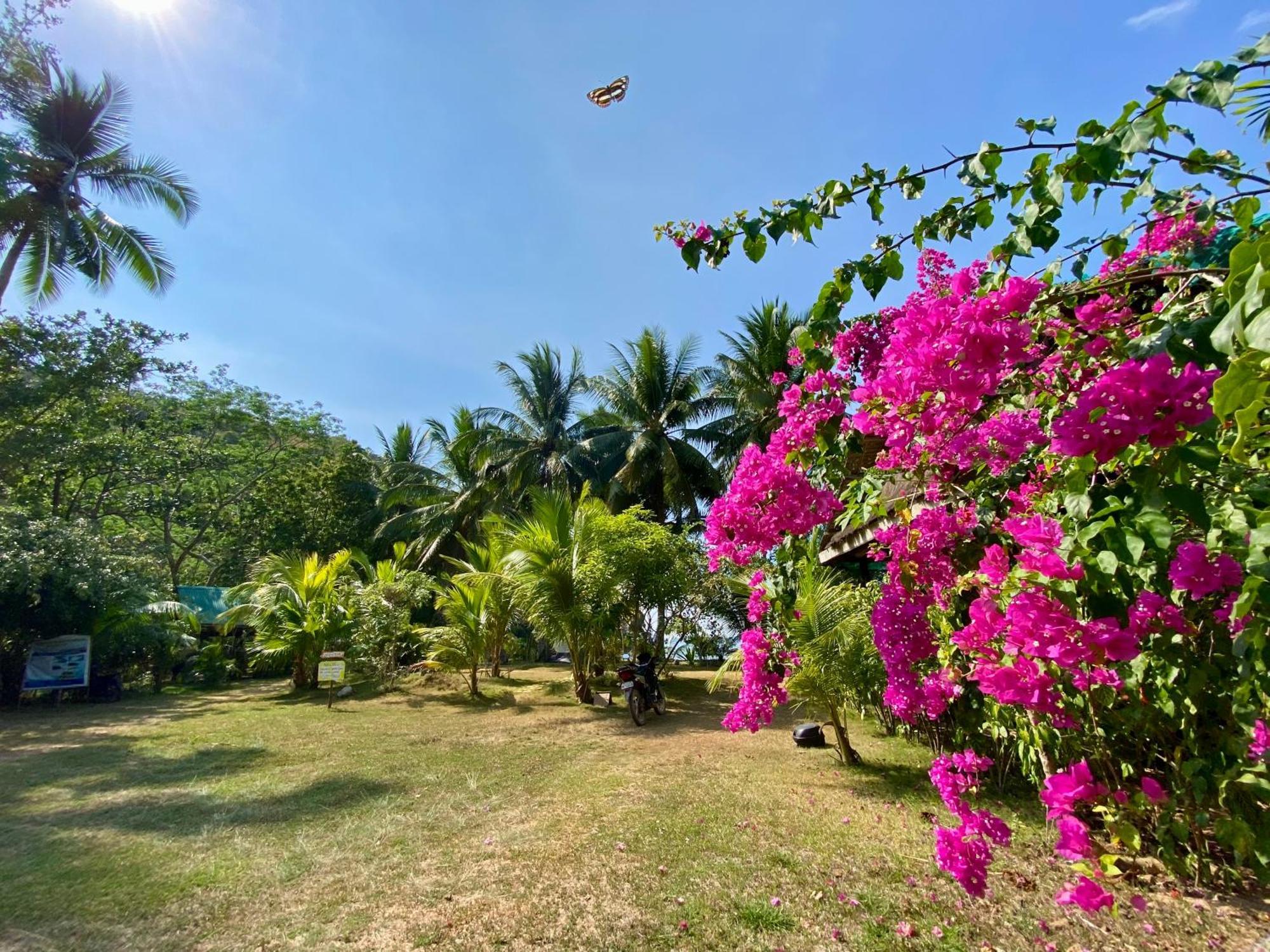 Ocamocam Beach Nature Resort New Busuanga Extérieur photo